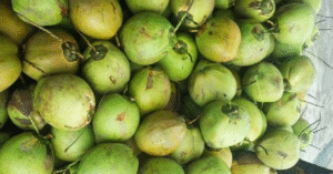 Indonesian Coconut Products for Export