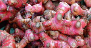 Red Ginger (Jahe Merah) Potent and Medicinal