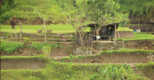 Indonesia’s Natural Resources A Key Driver for Global Buyers